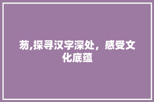 芴,探寻汉字深处，感受文化底蕴