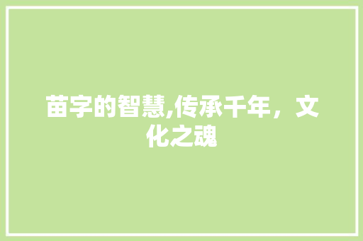 苗字的智慧,传承千年，文化之魂