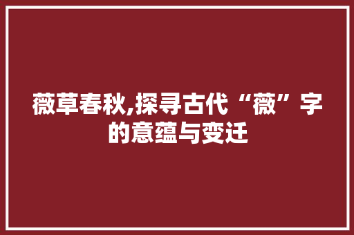 薇草春秋,探寻古代“薇”字的意蕴与变迁
