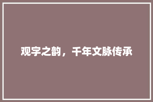 观字之韵，千年文脉传承