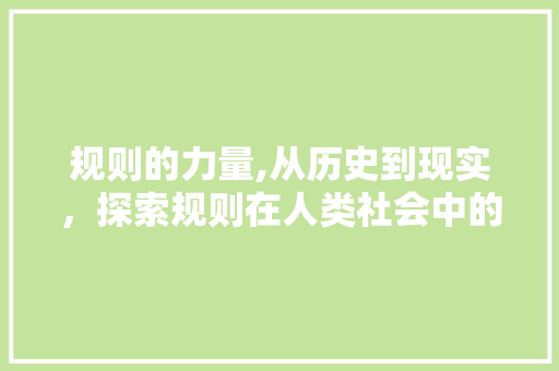规则的力量,从历史到现实，探索规则在人类社会中的作用 问答