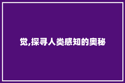 觉,探寻人类感知的奥秘