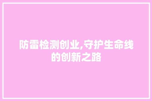 防雷检测创业,守护生命线的创新之路