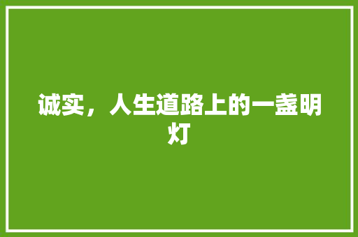 诚实，人生道路上的一盏明灯