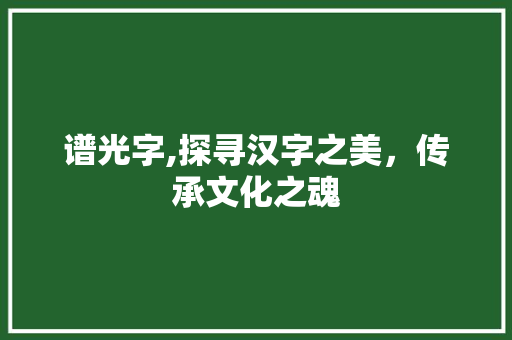 谱光字,探寻汉字之美，传承文化之魂