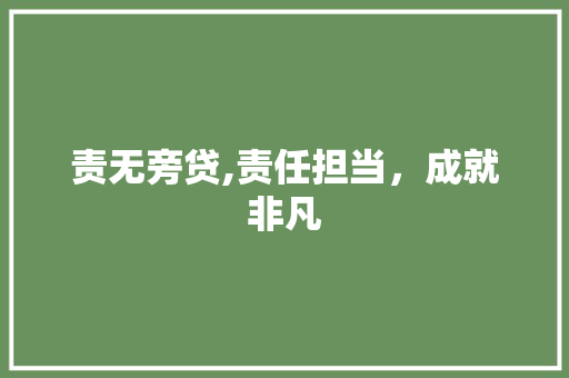 责无旁贷,责任担当，成就非凡