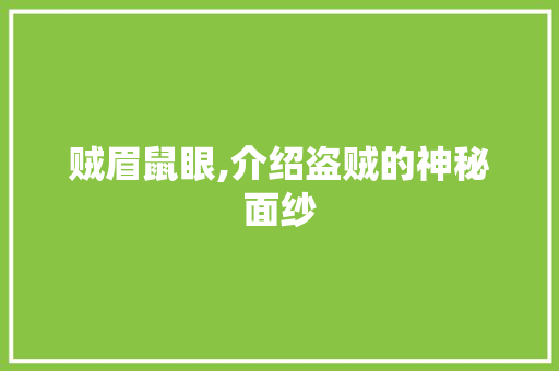 贼眉鼠眼,介绍盗贼的神秘面纱