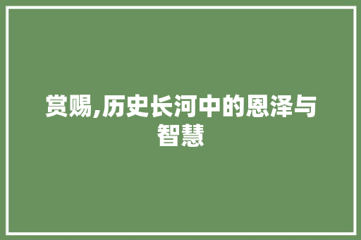 赏赐,历史长河中的恩泽与智慧