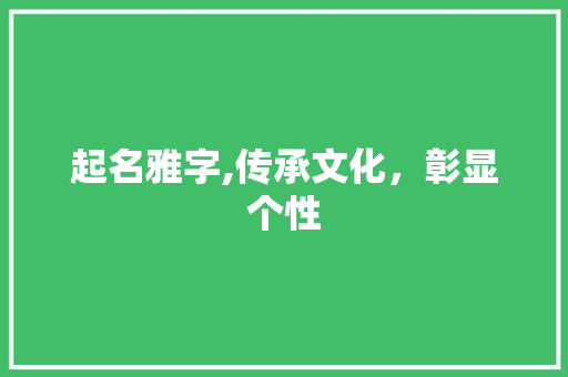 起名雅字,传承文化，彰显个性