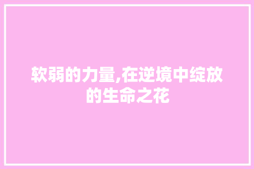 软弱的力量,在逆境中绽放的生命之花
