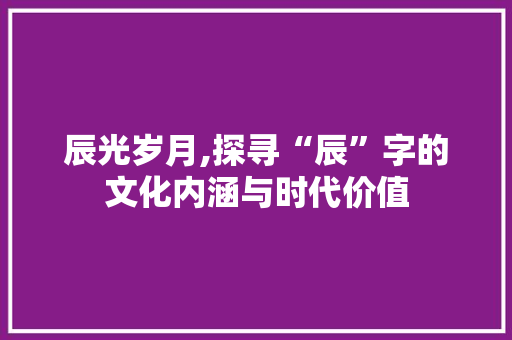 辰光岁月,探寻“辰”字的文化内涵与时代价值