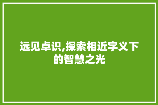 远见卓识,探索相近字义下的智慧之光
