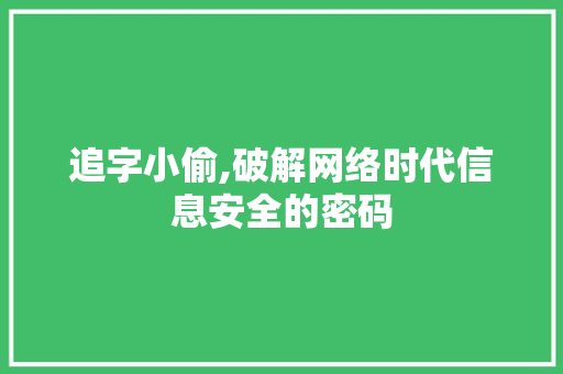 追字小偷,破解网络时代信息安全的密码