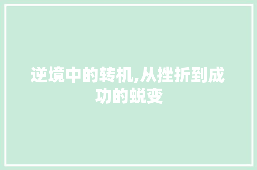逆境中的转机,从挫折到成功的蜕变