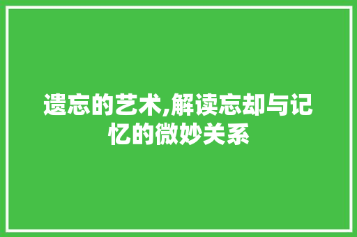 遗忘的艺术,解读忘却与记忆的微妙关系