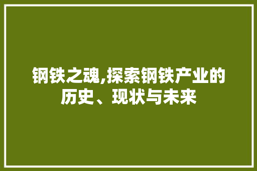 钢铁之魂,探索钢铁产业的历史、现状与未来