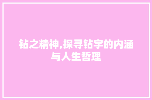 钻之精神,探寻钻字的内涵与人生哲理 古代典籍