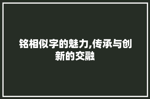 铭相似字的魅力,传承与创新的交融