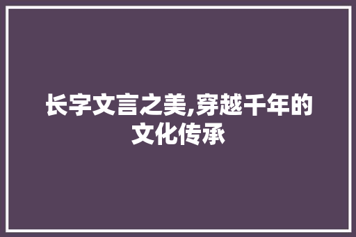 长字文言之美,穿越千年的文化传承