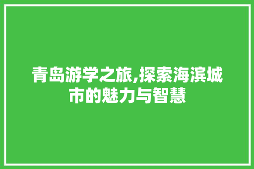 青岛游学之旅,探索海滨城市的魅力与智慧