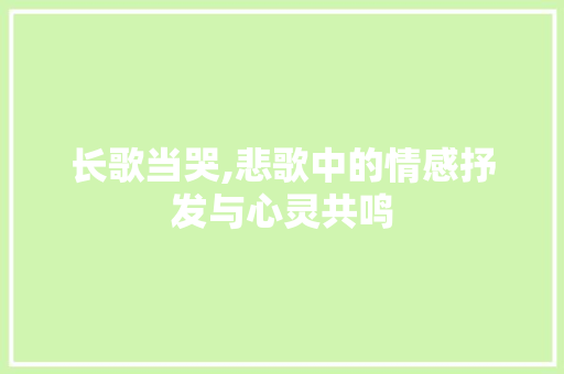 长歌当哭,悲歌中的情感抒发与心灵共鸣