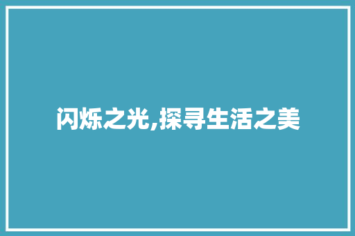 闪烁之光,探寻生活之美