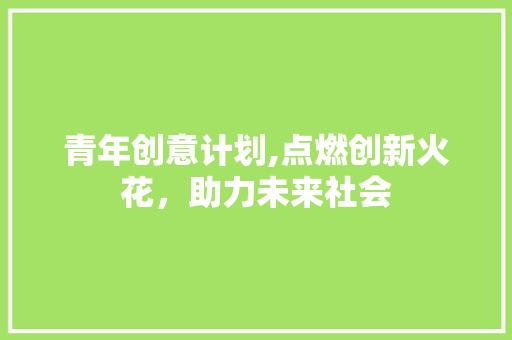 青年创意计划,点燃创新火花，助力未来社会