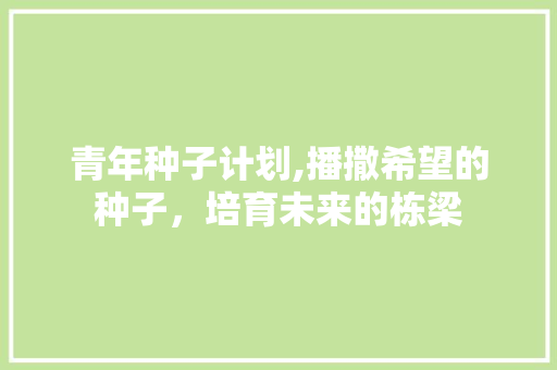 青年种子计划,播撒希望的种子，培育未来的栋梁