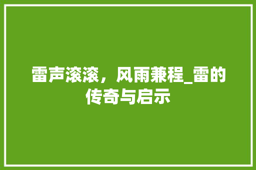 雷声滚滚，风雨兼程_雷的传奇与启示