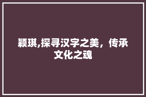 颖琪,探寻汉字之美，传承文化之魂