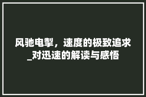 风驰电掣，速度的极致追求_对迅速的解读与感悟