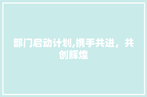 部门启动计划,携手共进，共创辉煌