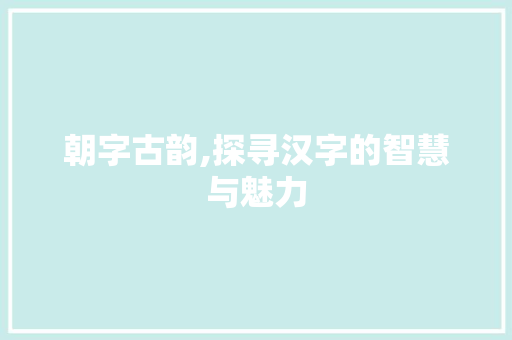朝字古韵,探寻汉字的智慧与魅力