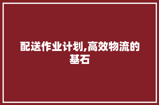 配送作业计划,高效物流的基石