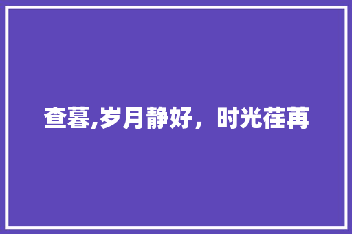 查暮,岁月静好，时光荏苒 成语汇编