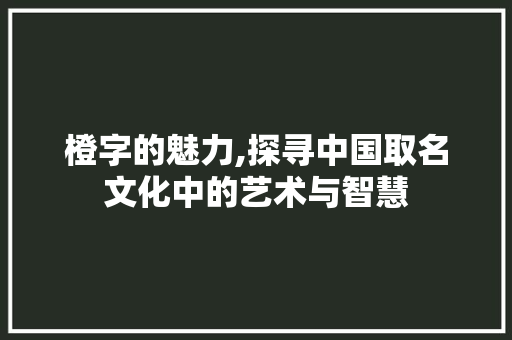 橙字的魅力,探寻中国取名文化中的艺术与智慧
