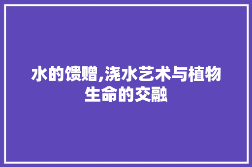 水的馈赠,浇水艺术与植物生命的交融