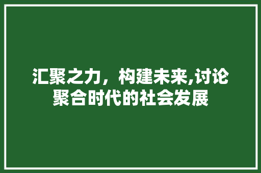 汇聚之力，构建未来,讨论聚合时代的社会发展
