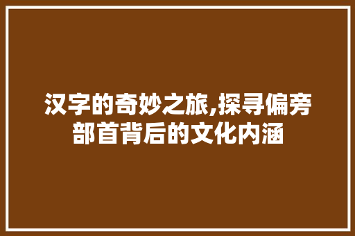 汉字的奇妙之旅,探寻偏旁部首背后的文化内涵