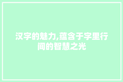汉字的魅力,蕴含于字里行间的智慧之光 成语汇编