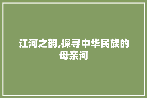 江河之韵,探寻中华民族的母亲河