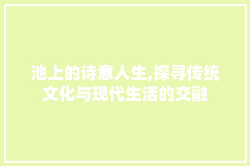 池上的诗意人生,探寻传统文化与现代生活的交融 问答