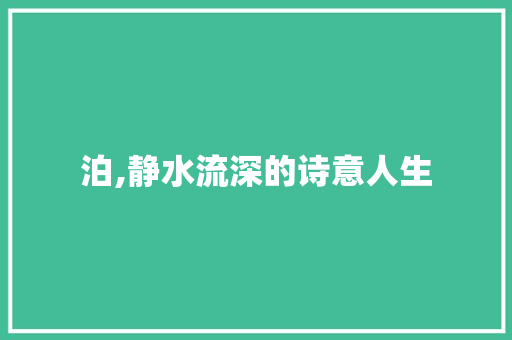 泊,静水流深的诗意人生