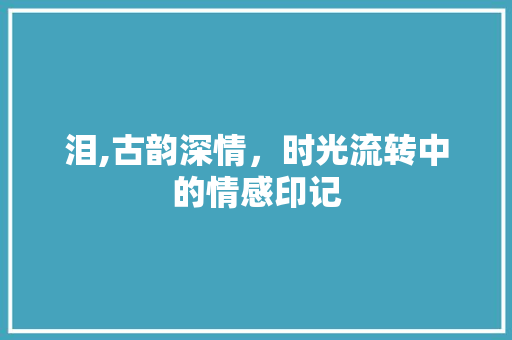 泪,古韵深情，时光流转中的情感印记