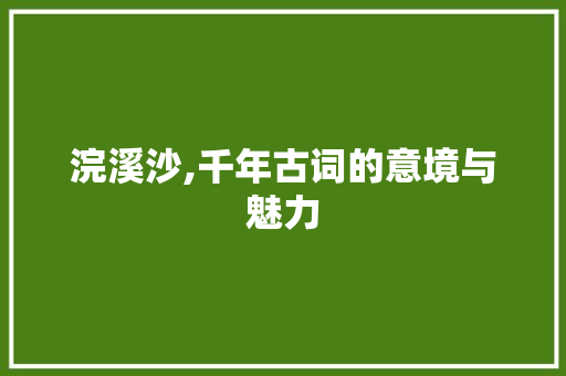 浣溪沙,千年古词的意境与魅力