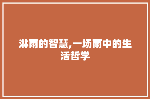 淋雨的智慧,一场雨中的生活哲学 英语单词