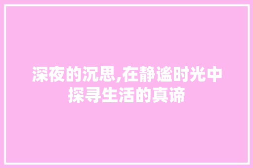 深夜的沉思,在静谧时光中探寻生活的真谛 短语