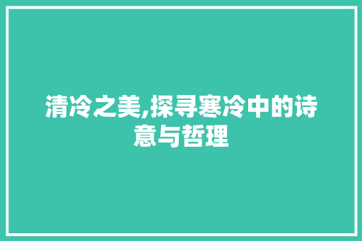 清冷之美,探寻寒冷中的诗意与哲理