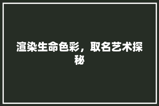 渲染生命色彩，取名艺术探秘