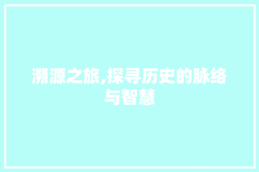 溯源之旅,探寻历史的脉络与智慧
